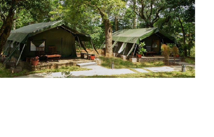 Tents at Monica Garden Bungalow, Valparai- The Terrain surrounding the tents offer excellent possibilities of long and short walks, bicycling and wildlife photography